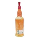 Psychedelic Dog Printed handmade Craft Bottle With Night Lamp - Unique Gift Item