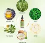 Disaar Rosemary Mint Scalp & Hair Strengthening Oil – 60ml For Hair Growth & Anti-Hair Fall
