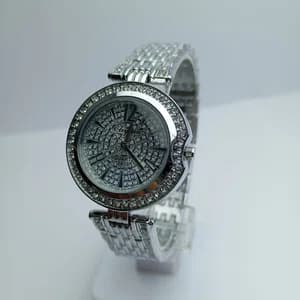 Hold colour Fashionable  Round Dial Stainless Steel Waterproof Watch For Women